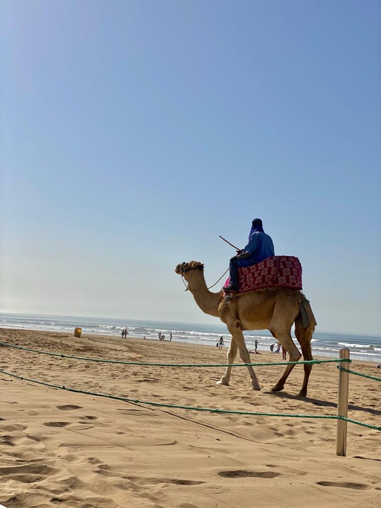 Agadir: two days of landscapes and local discoveries